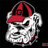 University of Georgia Bulldogs Mascot Surface Book 2 15in Skin
